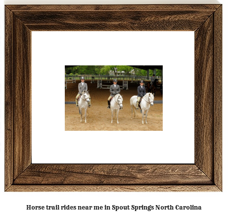 horse trail rides near me in Spout Springs, North Carolina